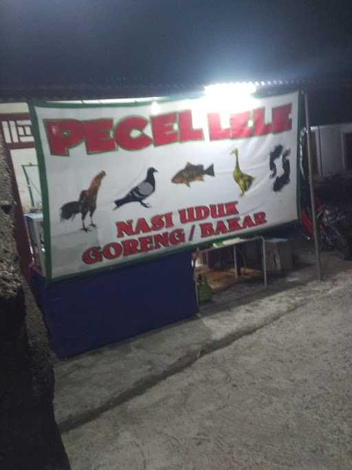 Pecel Lele Bang Kuttell 6