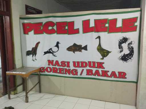 Pecel Lele Bang Kuttell 5