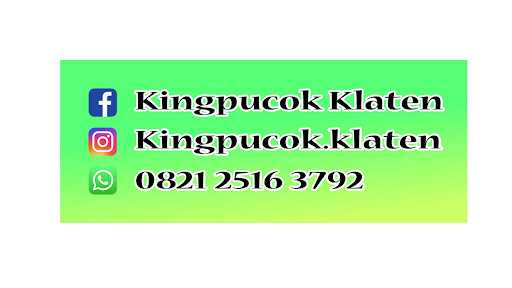 King Pucok Wedi Klaten 2