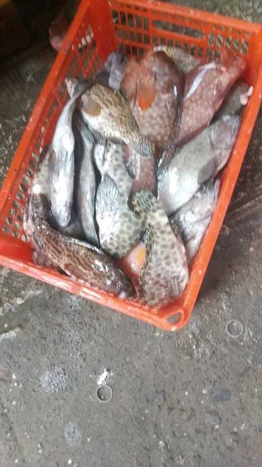 Fathur'S Supplier Seafood 7