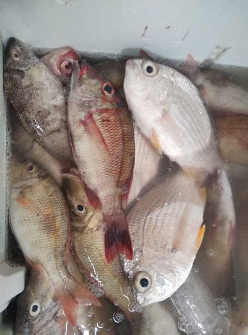 Fathur'S Supplier Seafood 6