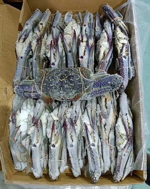 Fathur'S Supplier Seafood 3