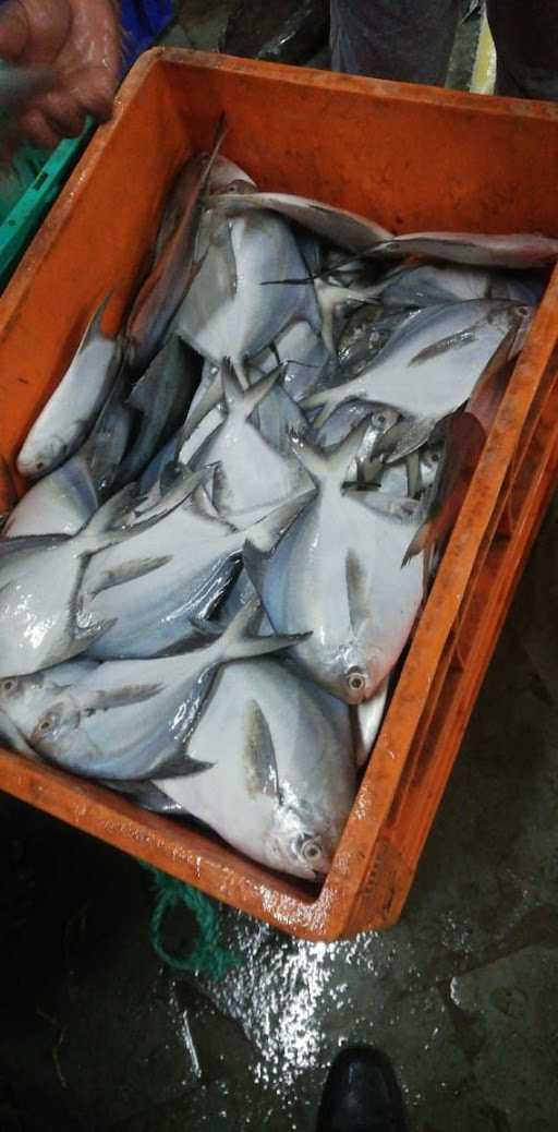 Fathur'S Supplier Seafood 9