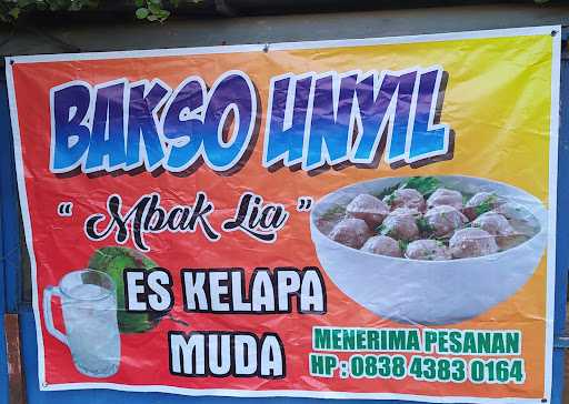 Bakso Unyil Mbak Lia 8