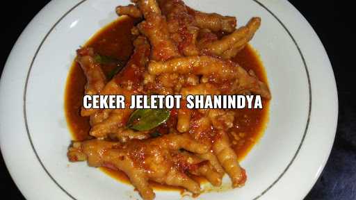 Mie Jeletot Shanindya 2