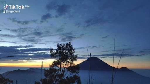 Kopi Bening 10