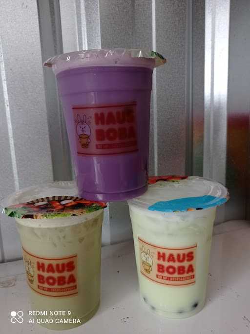 Haus Boba 4