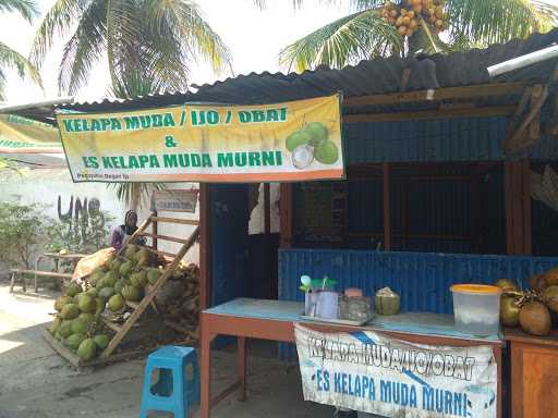 Kelapa Muda Serat Merah Pln 6