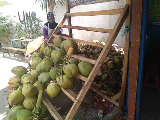 Kelapa Muda Serat Merah Pln 5