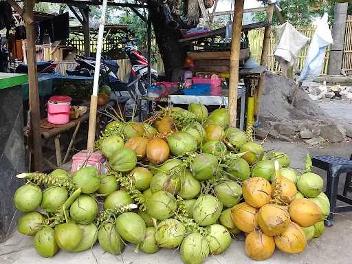 Es Kelapamuda Gendhis Ayu 1