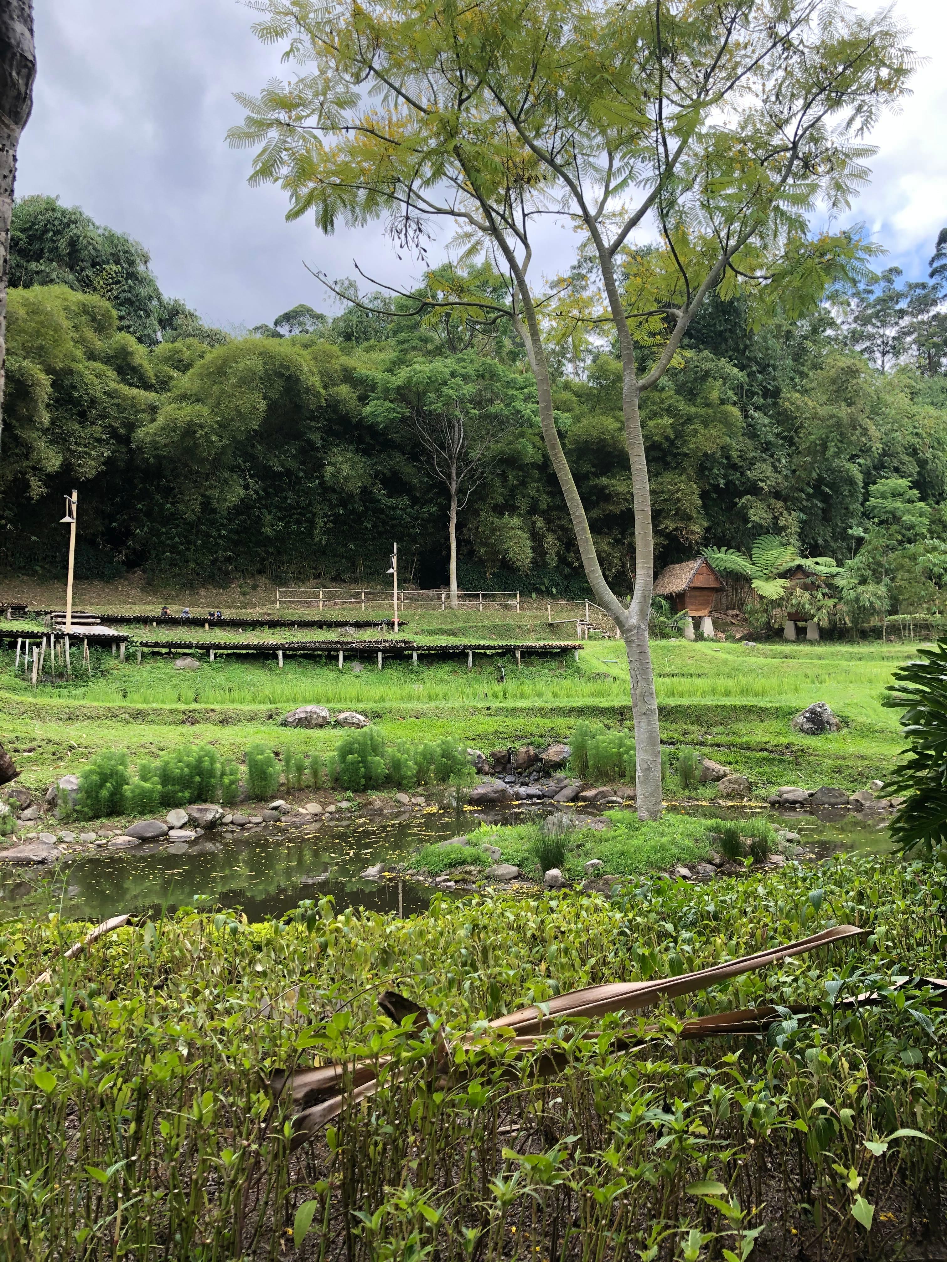 Dusun Bambu review