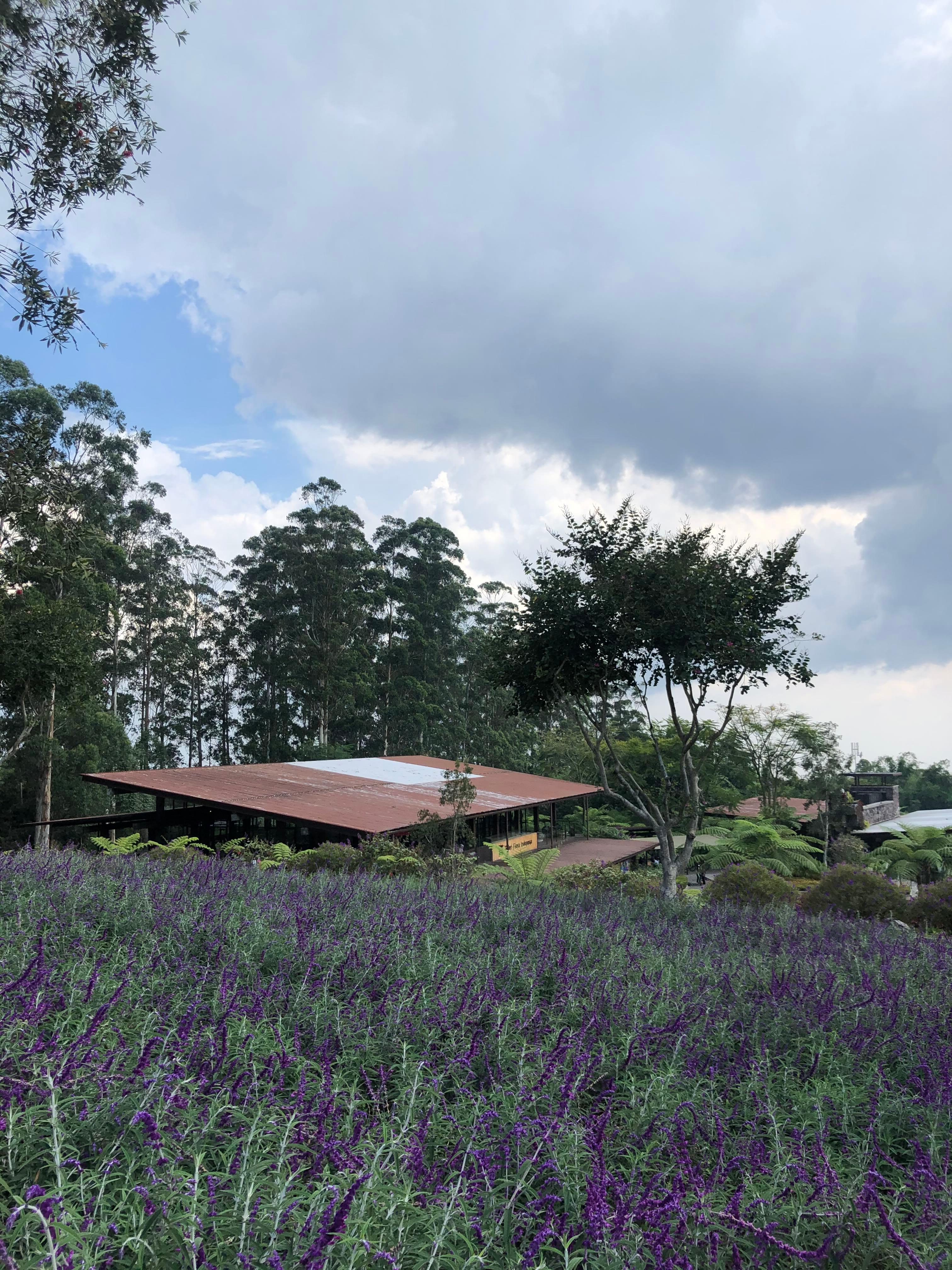 Dusun Bambu review