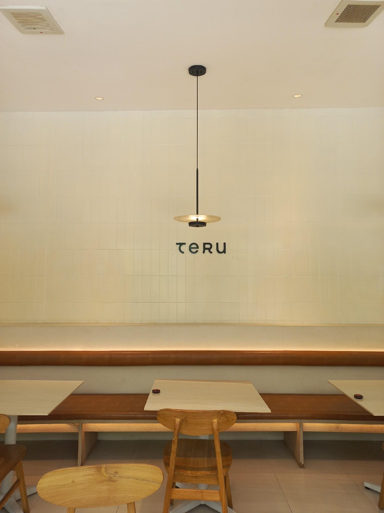 Teru review