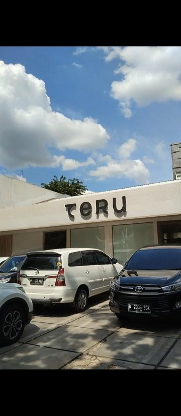 Teru review