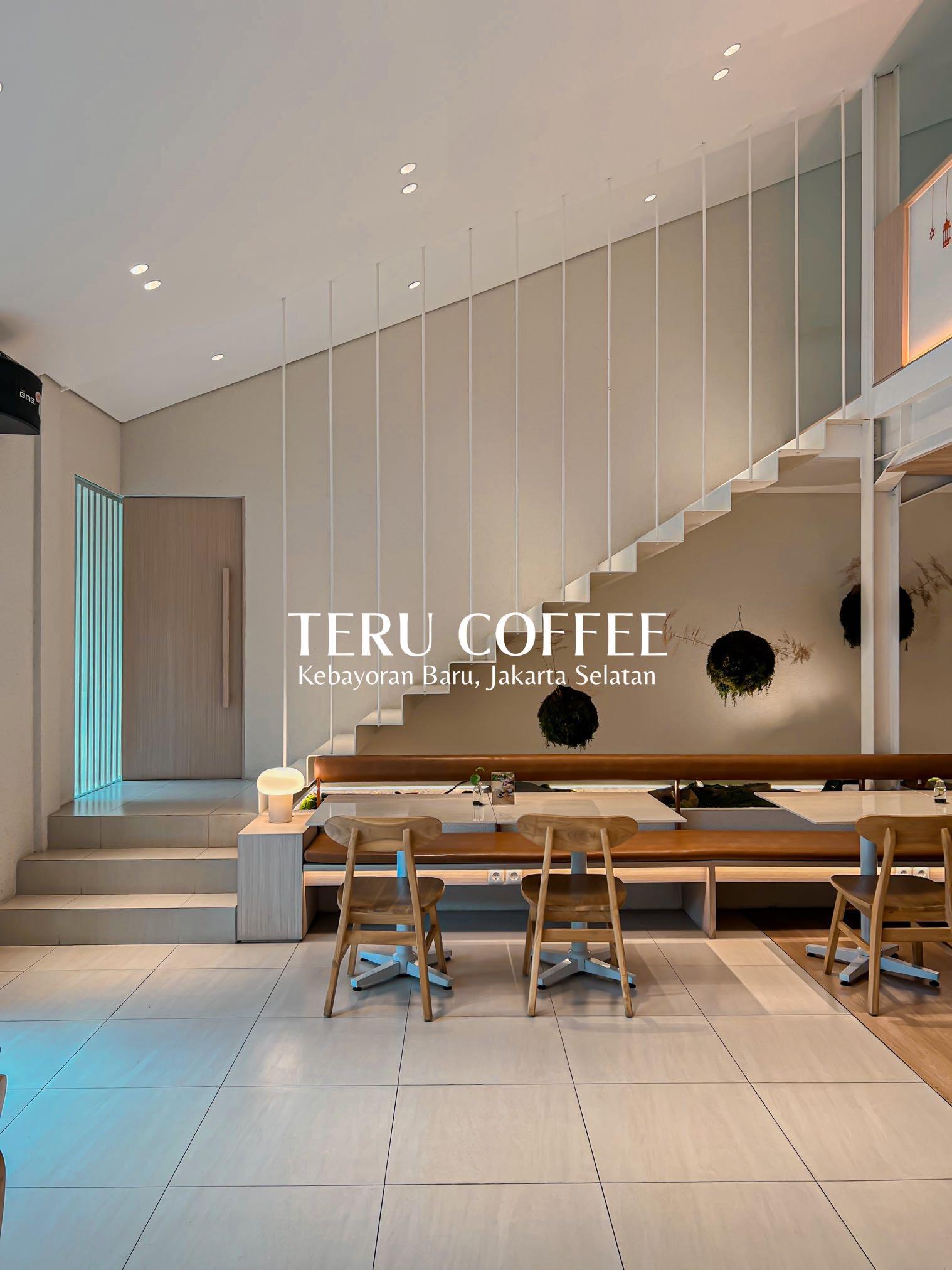 Teru review