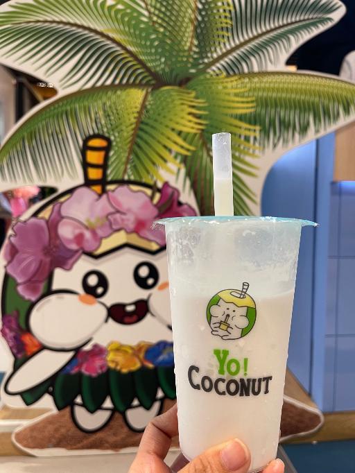 Yo! Coconut Living Plaza Puri review