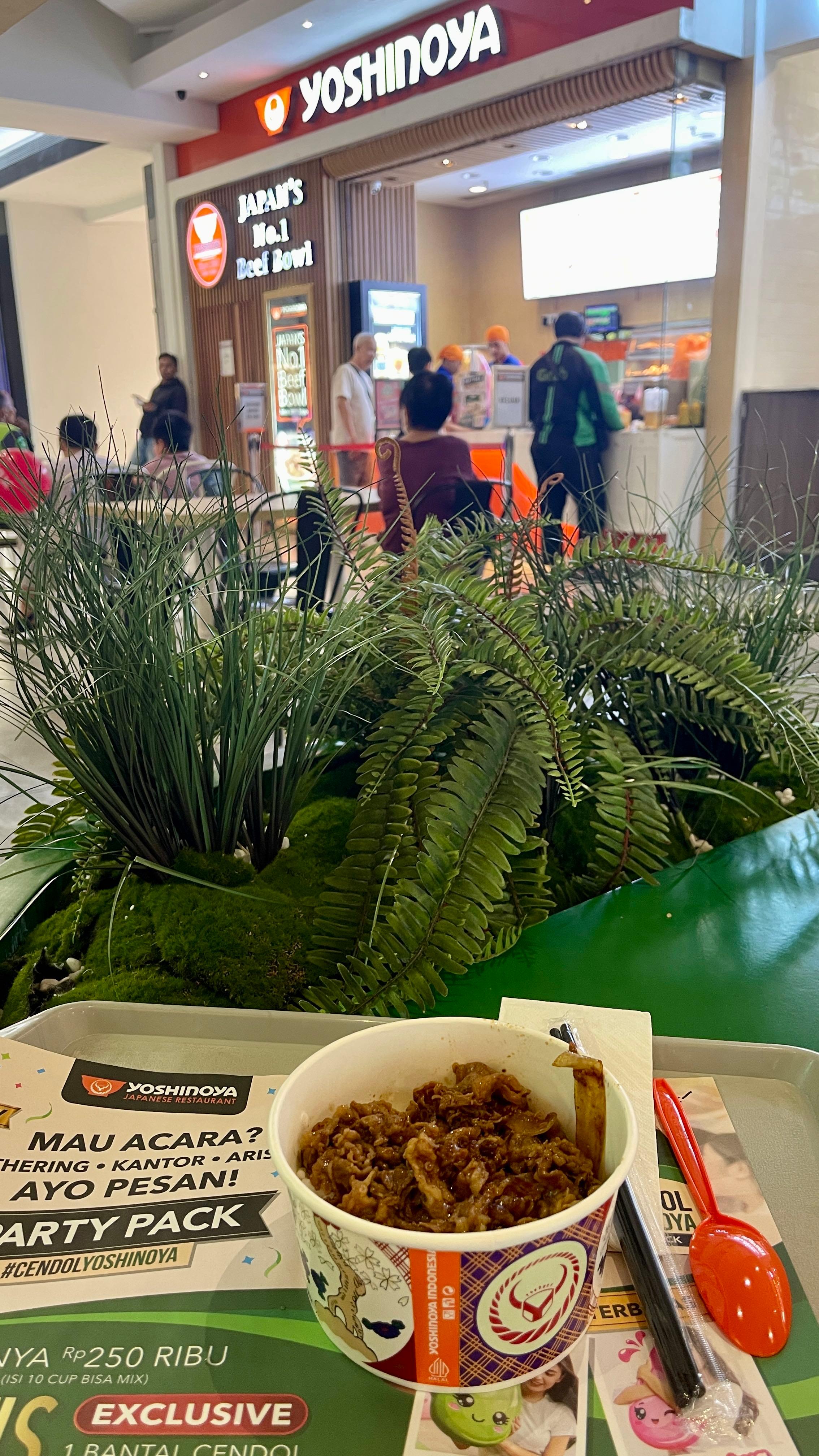 Yoshinoya - Lippo Mall Puri review