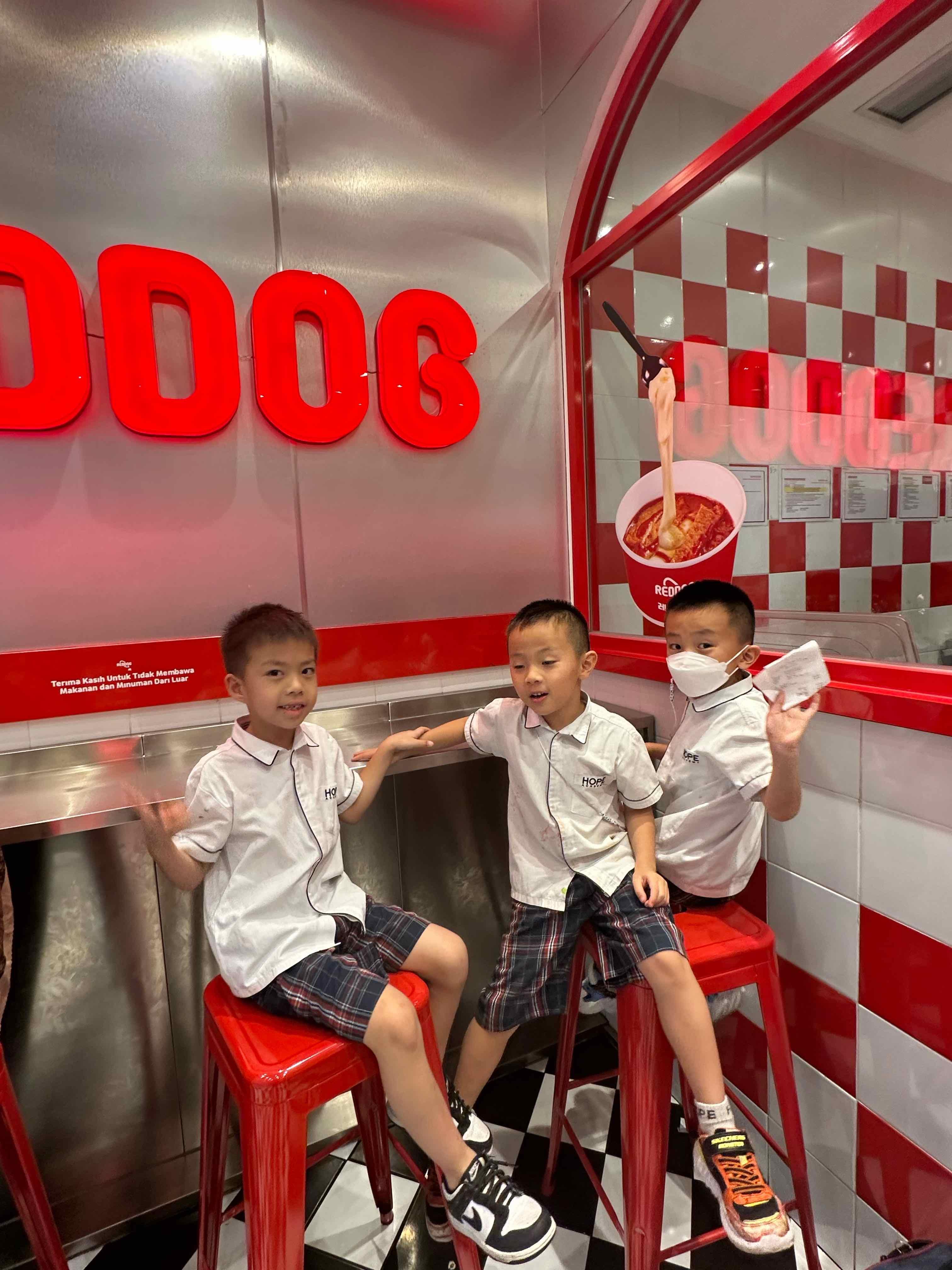 Reddog - Lippo Mall Puri review