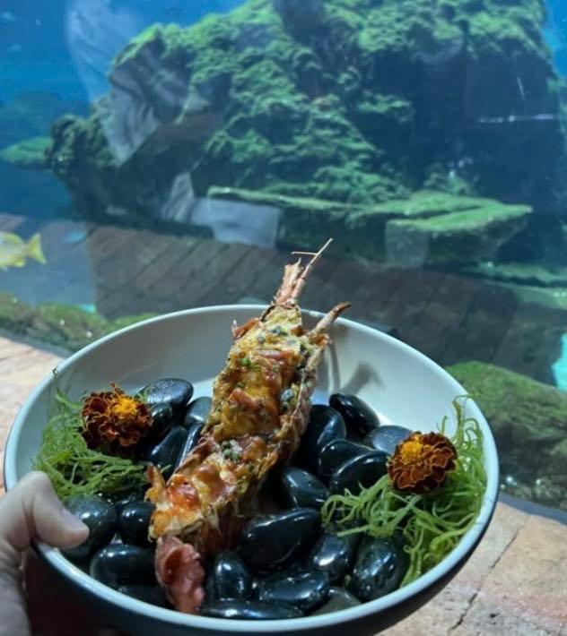 Koral: Bali’S First Aquarium Restaurant review