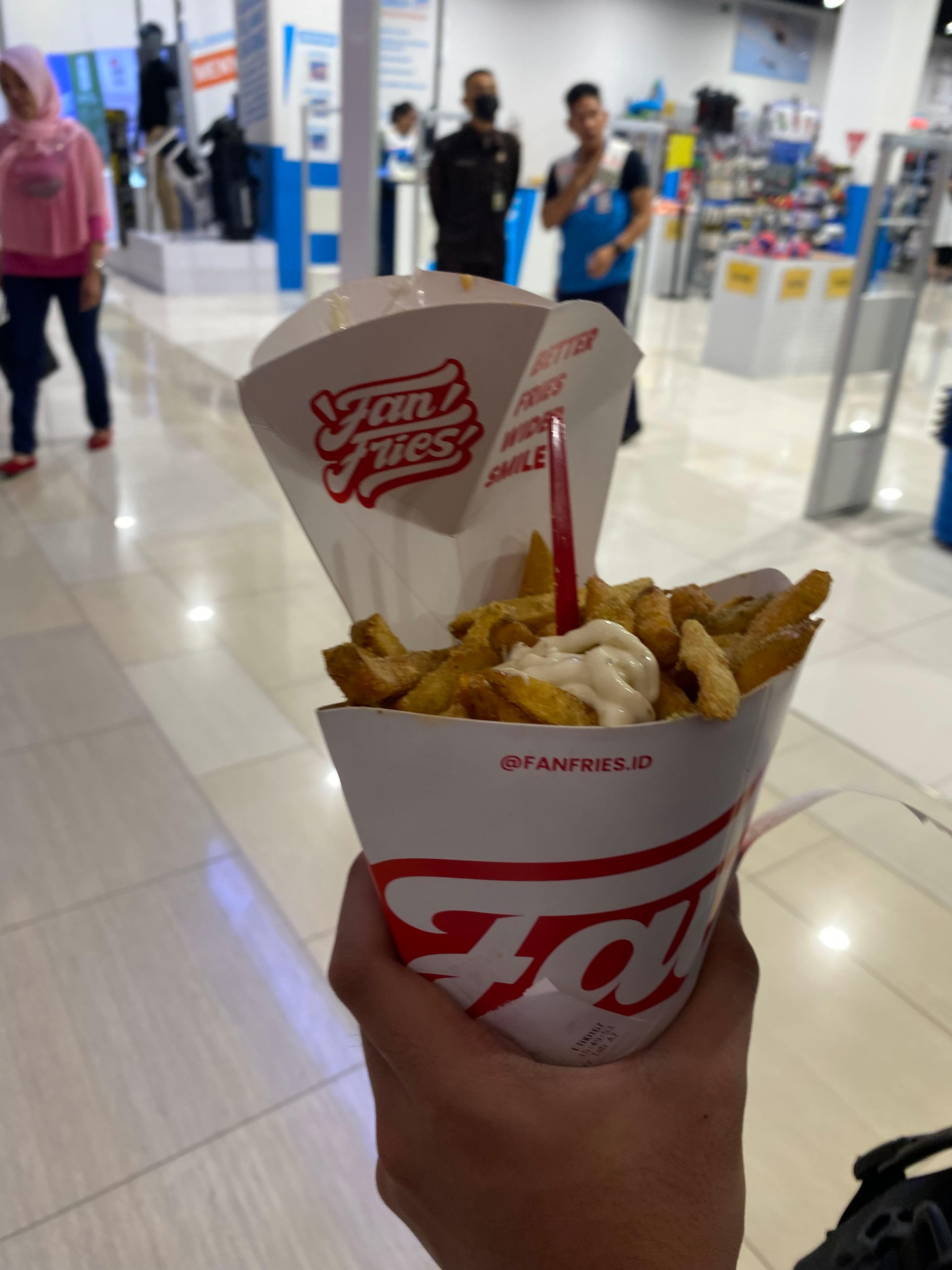 Fan Fries review