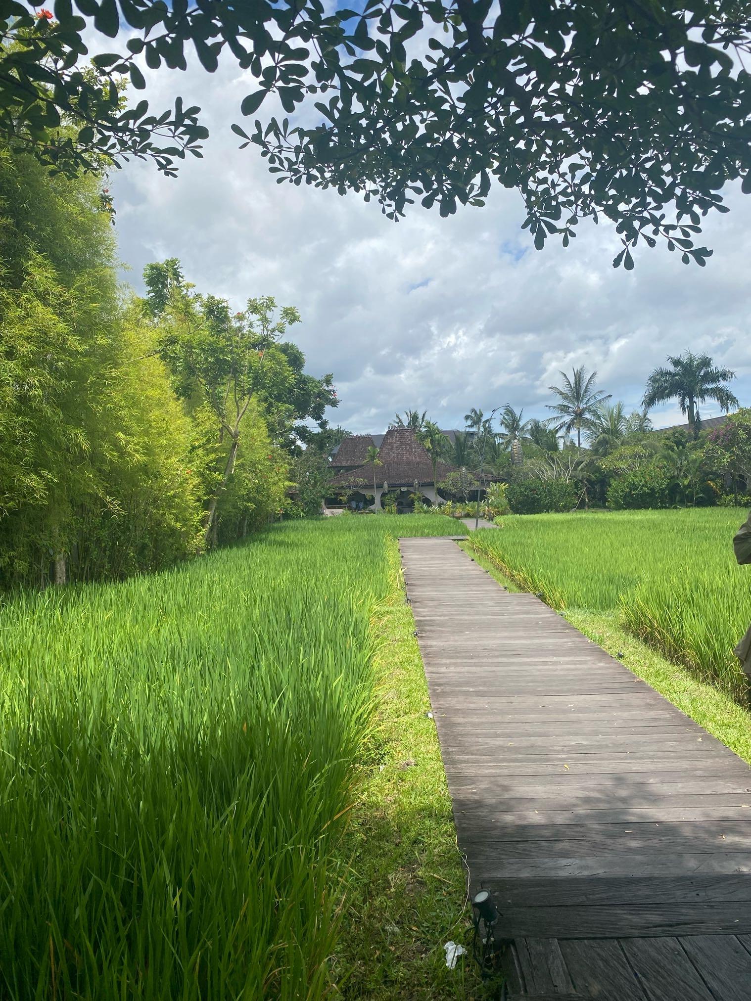 Pison - Ubud review