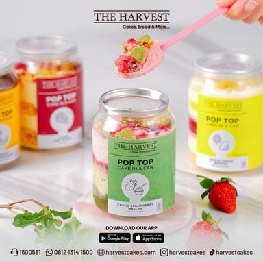 THE HARVEST - PALEMBANG