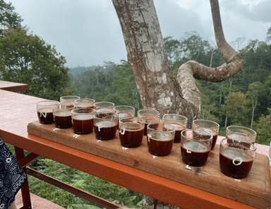 WANAGIRI COFFEE PLANTATION BALI AND LUWAK COFFEE