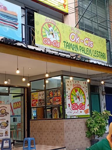 AYAM GEPREK OK CIS - TAMAN PALEM LESTARI