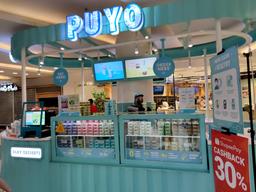 PUYO SILKY DESSERTS - CENTRAL PARK