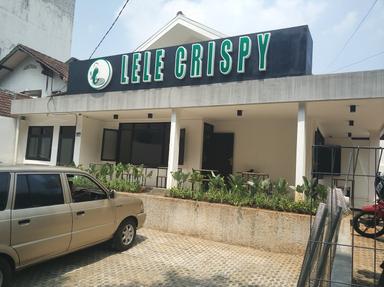 LELE CRISPY BANGKA