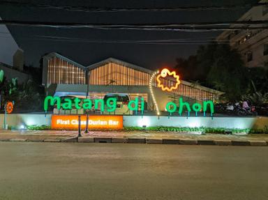 MATANG DI POHON