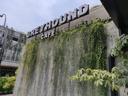 Greyhound Cafe - Menteng