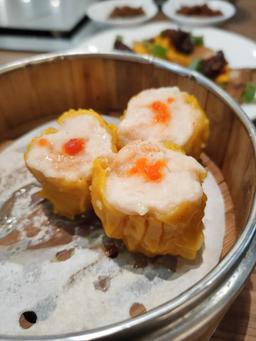 TAKO SUKI - PLUIT