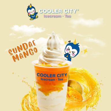 COOLER CITY - BSD CITY