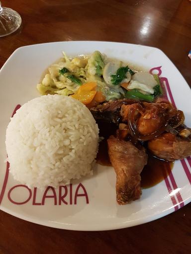 SOLARIA