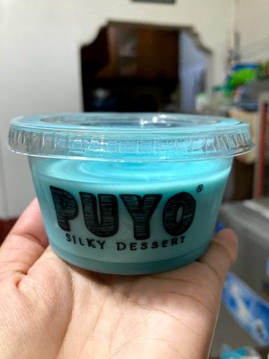 PUYO SILKY DESSERTS - 23 PASKAL