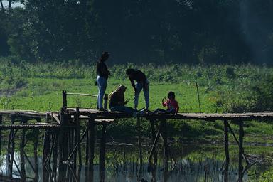 DANAU TERATAI KEDUNGDOWO