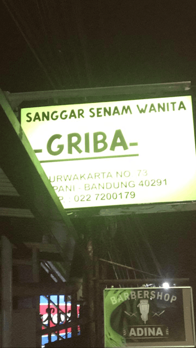 GRIBA GYMNASTIC STUDIO