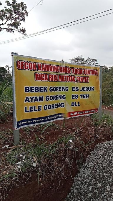 WM GECOK KAMBING PAK MOEL