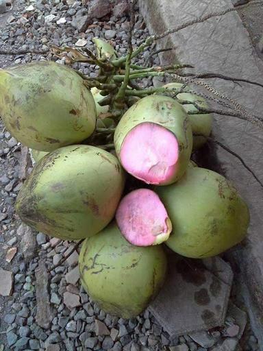 WARUNG ES KELAPA MUDA BANG TOYIB