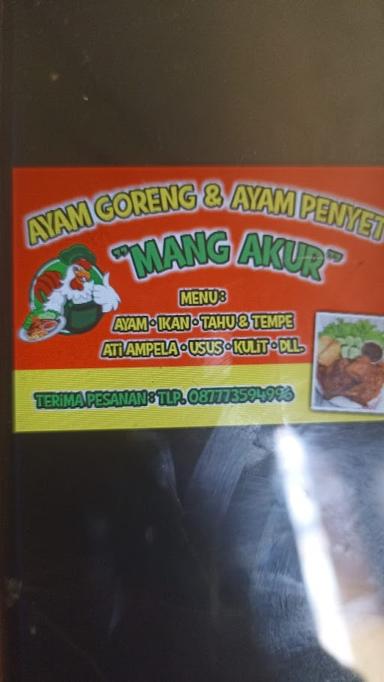 AYAM GORENG & PENYET MANG AKUR