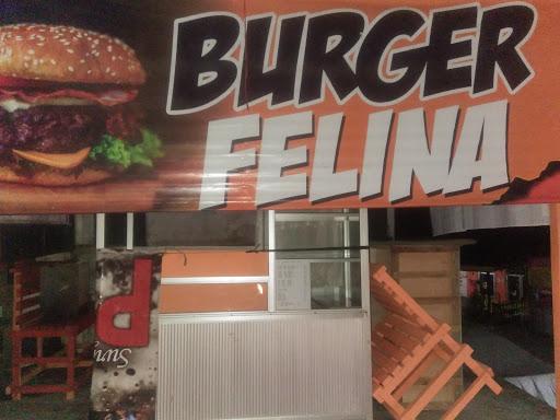 BURGER FELINA