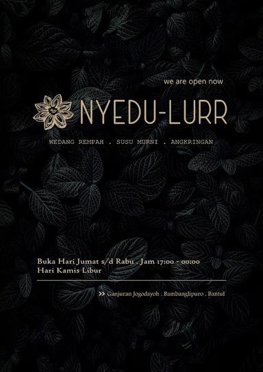 NYEDU-LURR