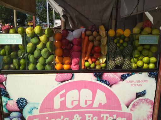 FEEA JUICE & ESTELER