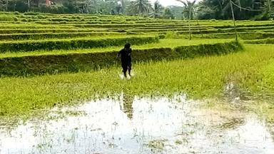 KELOMPOK TANI SUKABAKTI