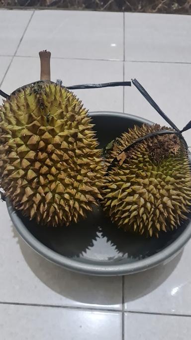 BRONGKOL DURIAN