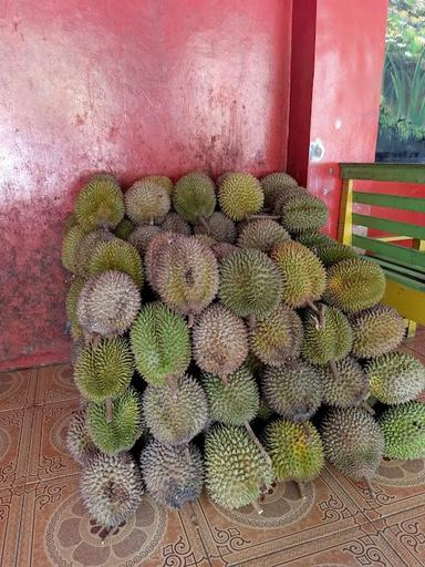 DURIAN PETRUK H. GORIS