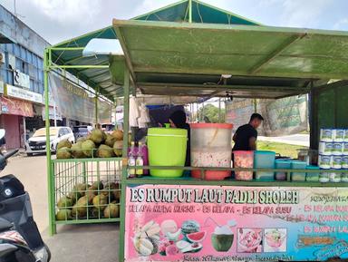 ES RUMPUT LAUT FADLI SHOLEH