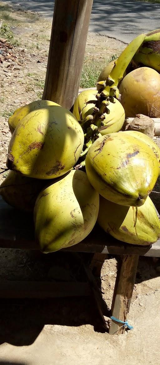 NASI UDUK ES KELAPA MUDA ADITYA