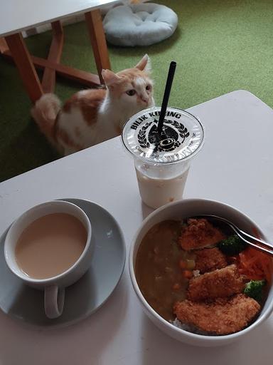 BILIK KUCING CAT CAFE